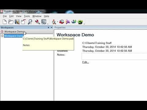 PolyWorks: Workspace Explanation