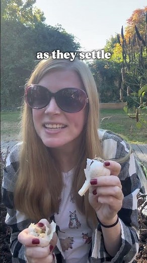 Garlic Planting Made Easy