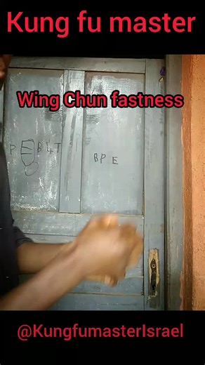 Mastering the Wing Chun Fastness Punch Technique