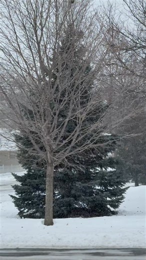 Here we go again! 🤠 | Meteorologist Brandon Libby