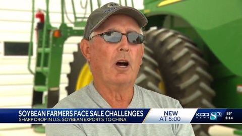 Trade tensions, weather challenges test Iowa soybean farmers this season
