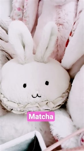 some of my stuffies💗 #pink #softaesthetic #stuffedanimals #cute