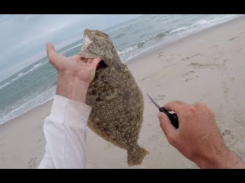 This Could Be The DUMBEST FISH Ive Ever Caught!