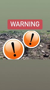 11K views · 293 reactions | Sad discovery when cleaning up a property #cleaning #junkremoval #homemakeover | Junk Lovers Junk Removal & Hauling LLC | Facebook