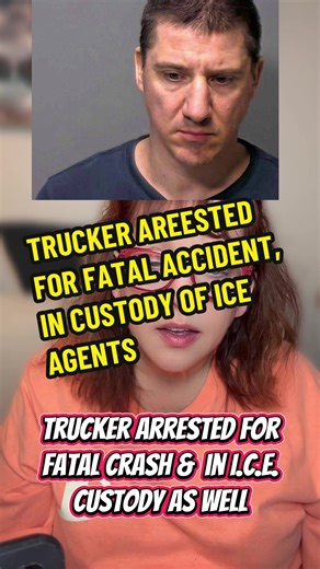 Illinois Truck Driver Faces Felony Charges After Fatal Crash