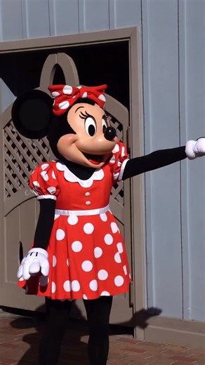 Eric Mendoza on Instagram: "STOP 💀 Minnie out here dropping Valentine’s hints and Mickey said “I’m just here to dance.” 💃🐭💍 Watching this moment in Disneyland had me cracking up because it felt WAY too real. Minnie was clearly in her “sooo… about that ring?” era, and Mickey just kept dancing while slowly backing away and dodging like he suddenly forgot what day it was. 😂 Disney couples are just like us — one is planning the future, the other is vibing and hoping the subject changes. Honestl
