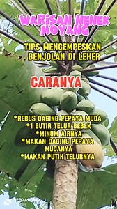 487K views · 2.3K reactions | Tips Sehat Cara Mengempeskan Benjolan Di Leher. Caranya *Ambil 1 buah pepaya muda ,lalu rebus dengan 1 butir telur bebek(dicuci bersih) dengan air 1liter. *Direbus selama kurang lebih 30 Menit *Airnya diminum,daging pepaya dan putih telurnya dimakan. *Lakukan 2 hari 1 x selama 2 Minggu,untuk selanjutnya seminggu 2x sampai benjolan mengecil. #fyp #reels #fbpro #tipssehat #obattradisional #obarherbal #obatalami #InxazSya #trending | Inxaz Sya | Facebook