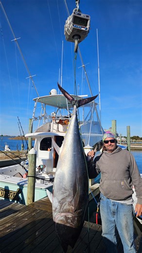 Oregon Inlet Fishing Center on Instagram: "Wednesday was a good day for bluefin slot fish, close to home and calmer waters! We had charters and private boats bringing them in as well as catch and releases! If you would like to give it a try give us a call 252-441-6301! #oregoninletfishingcenter #charterfishing #oregoninlet"
