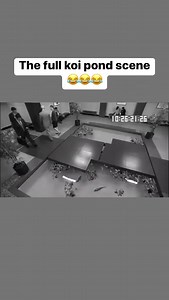 The Dankest Memes on Reels