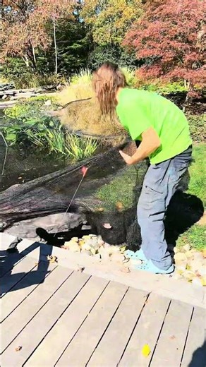 Timelapse: Netting a Pond for Fall 🍁🐟