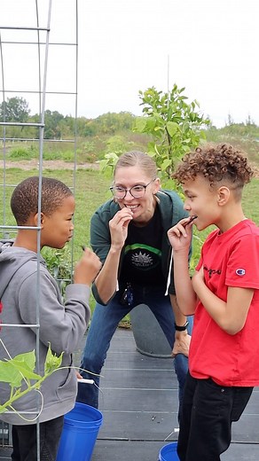 Students bring their five senses to the KFB farms to learn, explore and taste! Connecting kids to where their food comes from is how we celebrate #F2SMonth! 🚜🌱❤️ Learn with KFB from the comfort of your home or classroom: bit.ly/3F0HEr5 #community #foodequity #goodfoodforall #westmichigan #nonprofit #kidsfoodbasket #sustainability #grandrapids #holland #muskegonmichigan #kfblearn #kfbgrow | Kids' Food Basket