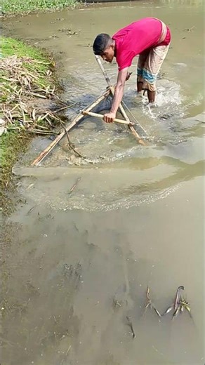 Traditional low weter push net fishing video part 115