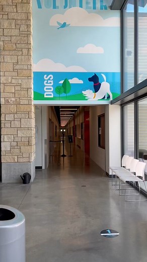 Meet Our Longest Resident Pups Ready for Adoption