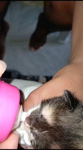 1.7K reactions · 110 shares | #Mono Martinez Apoyame síguenos | Mono videos | Facebook