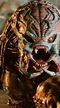 Berserker Predator #explore #trend #alienvspredator #predator #alien #xenomorph #predators