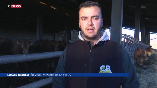 Colère agricole : portrait d'un jeune agriculteur face à l'incertitude de son métier