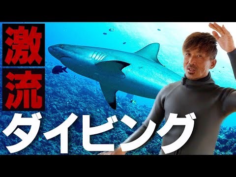 流れが強い時のダイビングテクニック集