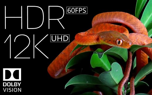 12K HDR 120fps 杜比视界 惊人的清晰度