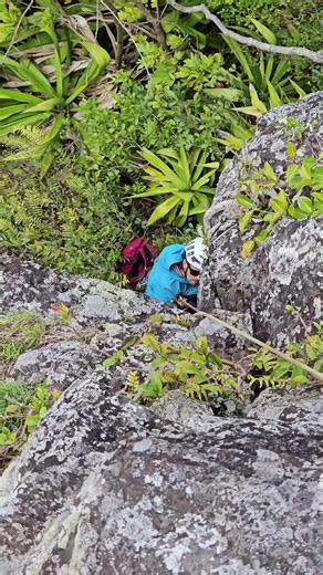 Mauritius is more than beaches. 🇲🇺⛰️ There’s another side of the island; rock, ropes, exposure and places that most people never see. #Mauritius #IleMaurice #MauritiusOutdoors #MauritiusHiking #AlpinerzMauritius