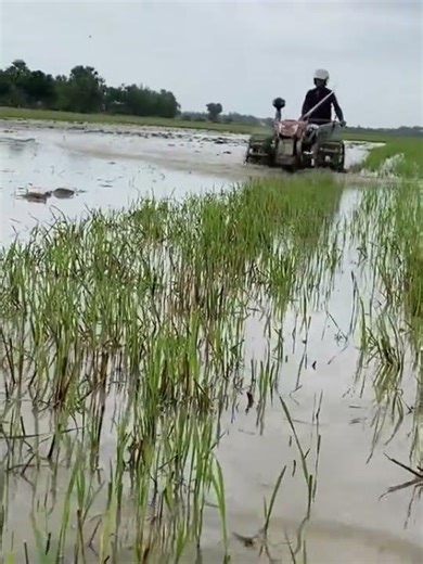 #agriculture #farmer #tractor #transport #machine