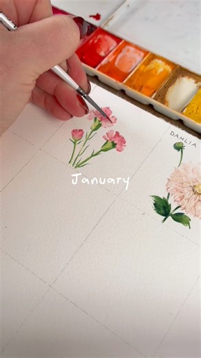 A year of watercolour flowers 🌸🌺🌼 Sign up to my Patreon Daisy Tier for the full tutorials. #watercolourpainting #watercolourart #watercolorflowers https://www.patreon.com/c/dewintonpaperco/membership | De Winton Paper co