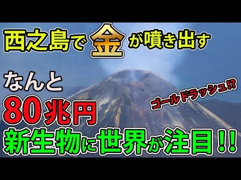 【衝撃の事実】「巨大化が止まらない！」なぜ各国が西之島を狙っているの？経済価値80兆円の島とは一体？