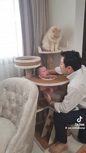Be cautious if you have a cat, a child, and a pet toy like this one. Kids can sometimes be quite mischievous! | Radio Tarana