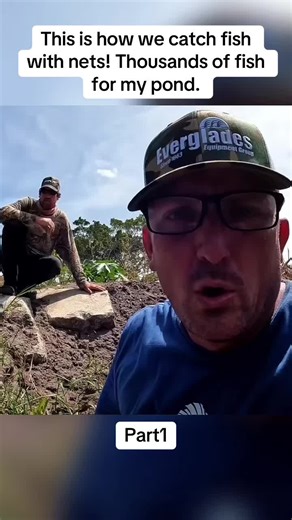 This is how we catch fish with nets! Thousands of fish for my pond.part1#fishing #fishtok #fish