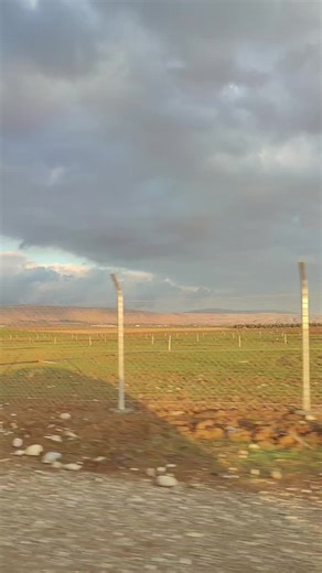 ‏#🌹🌹🌹🌹🌹🌹