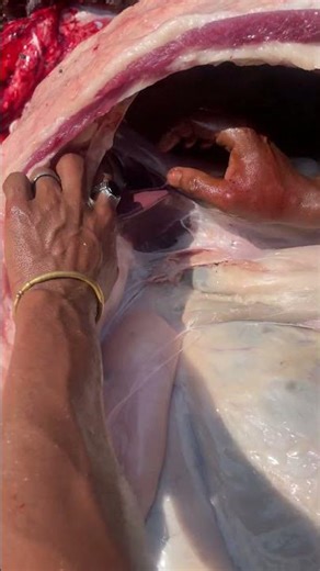 Chopping Beef By An Expert Butcher. #best #amazing #meat #Cutting