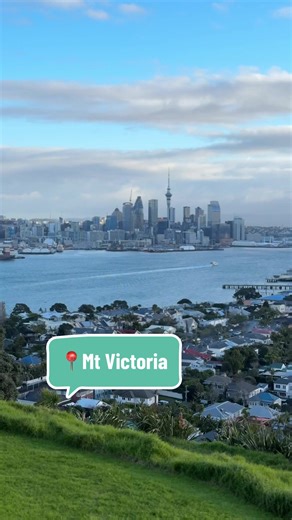 Stunning Views of Auckland from North Shore Volcano
