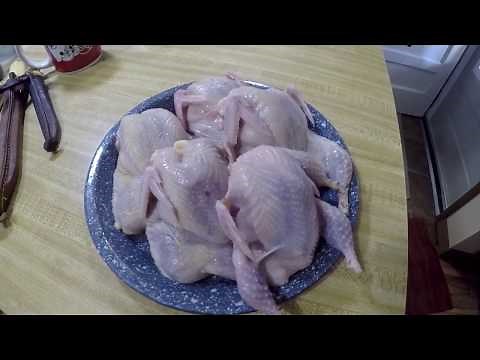 QUAIL PLUCKER IN ACTION