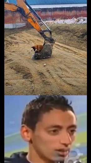 New technologia 😂# #trending #foryou #video #fxyoeditz