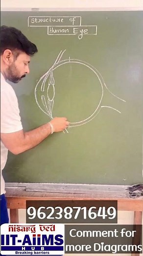 Easy way to draw Human eye | Tricks for science diagrams #studytips #examtips