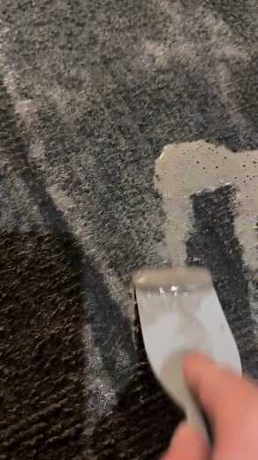 1.2M views · 20K reactions | I Wasn't Sure If I Could SAVE This FILTHY Carpet #CarpetCleaning #Greasy #GreasyCarpet #ExtremeCleaning | Clean That Up | Facebook