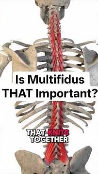 Back Pain and Multifidus