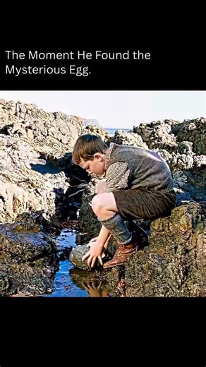 Movie Nation on Instagram: "Musical scoring will turn any movie into a blockbuster. The Water Horse: Legend of the Deep (December 2007) is a charming fantasy adventure film directed by Jay Russell, inspired by the children’s novel The Water Horse by Dick King-Smith. Blending myth, imagination, and heartfelt storytelling, the film brings the legend of the Loch Ness Monster to life through a gentle and emotional coming-of-age journey."