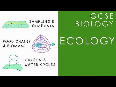ECOLOGY - GCSE Biology