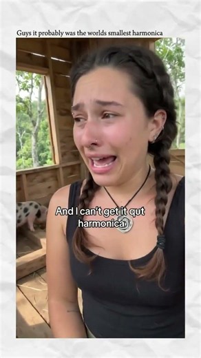 ai swallow my harmonica girl #harmonica #funny #treehouse #pigs #shorts