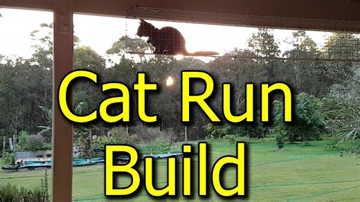 Transform your cat’s life: DIY outdoor cat run & enclosure build for Geo the Russian Blue!