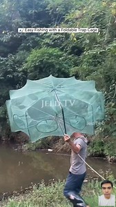 Galing👍 Ctto:📷 Guys, let’s watch how these locals make fishing so much easier. They’re using a foldable fishing trap cage—after placing the bait, they just throw it into the river or lake and leave it for a few hours, or even overnight. The result? A big catch and plenty of food for the table! 👏🐟 📌 Disclaimer: This content is for reaction and educational purposes only. #FishingLife #SmartFishing #FishingTrap #FishingTips #FishCatch #NatureLife #SustainableFishing #FishingHack #PinoyFishing 