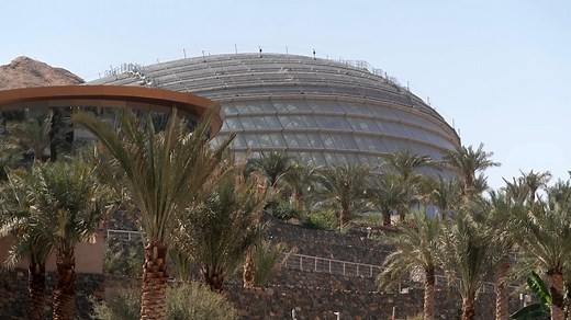 🌿 Oman Botanic Garden: A Journey through Oman’s Diverse Flora! Experience over 1,400 native plant species, from desert plants to lush mountain ecosystems, all in one place. Enjoy the beauty and rich biodiversity of Oman’s natural landscape. 🌸✨ #TourofOman #Oman #OmanByYou #ExperienceOman #BeautyHasAnAddress 🇴🇲 🌿 حديقة النباتات العمانية: رحلة عبر تنوع نباتات عمان! استكشف أكثر من 1400 نوع من النباتات المحلية، بدءًا من النباتات الصحراوية إلى النظم البيئية الجبلية الخضراء، في مكان واحد. استمتع