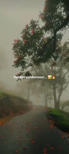 Yemito Ivala Rekkalochinattu Lyrical Song | Andala Rakshasi | Romantic Telugu Hits 2026#telugushorts