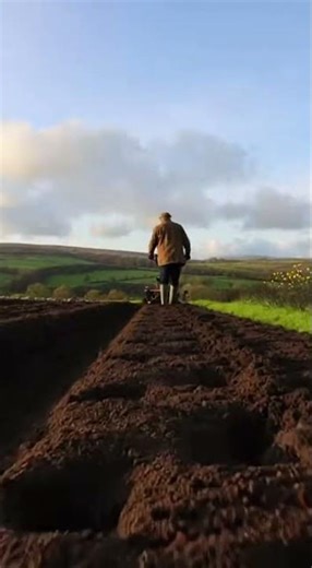 Love rural simplicity? 🤩 power tiller dances across the small field as blades dig deep