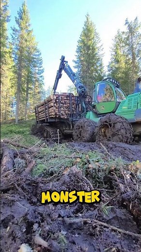 The 50 Ton Machine That Harvests an Entire Forest