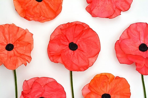 Coffee Filter Poppies | Easy Poppy Coffee Filter Craft