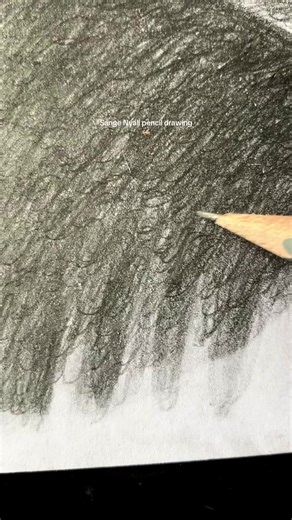 Detailed Pencil Drawing of Sange Nyali