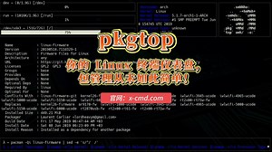 📥 pkgtop：你的 Linux 终端仪表盘，包管理从未如此简单！