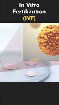 IVF Explained in 60 Secs! 🚀 3D Journey from Egg to Embryo #foryou #shorts #short