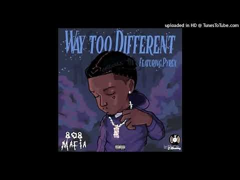 Pyrex Whippa Way Too Different